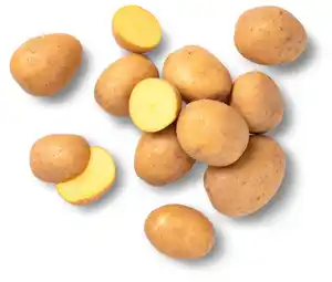 Speisekartoffeln von Familie Schmid aus Lauffen, 5-kg-Sack