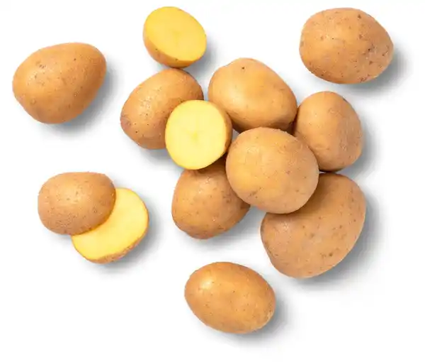 Bild 1 von Speisekartoffeln von Familie Schmid aus Lauffen, 5-kg-Sack
