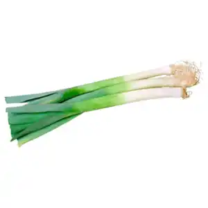 Bio Porree im Bund 400g