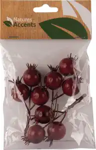 Deko-Stecker »Beeren«, Packg.