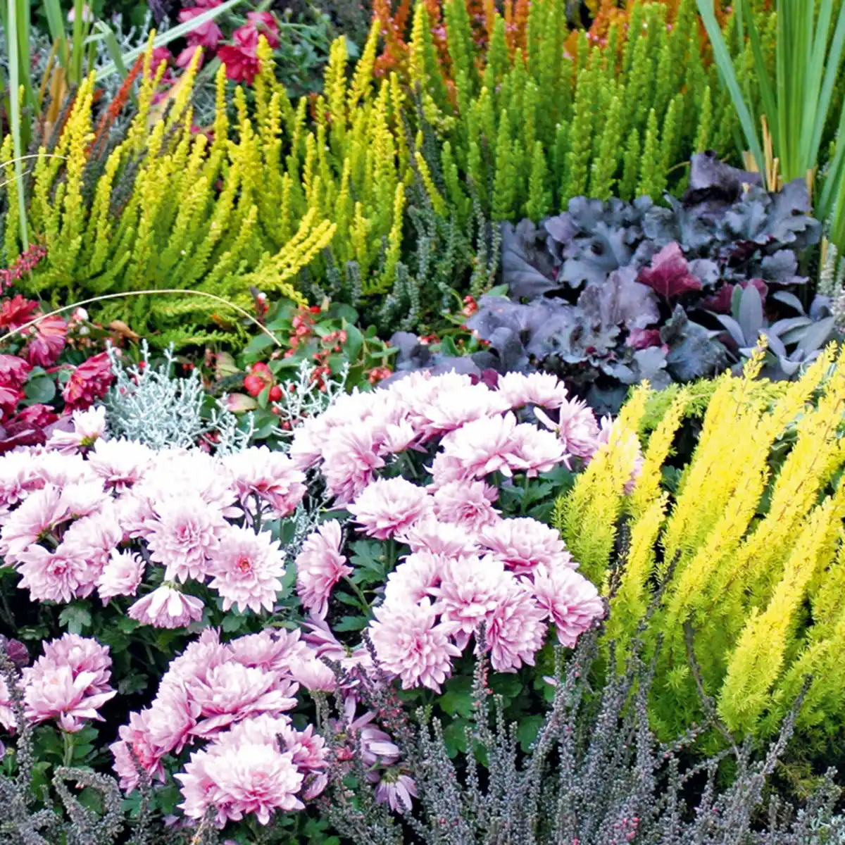 Bild 2 von Herbstschale