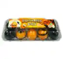 Bild 1 von Bunte gekochte Halloween-Eier*