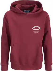 Jack&Jones Junior JORMEADOWS Hoodie Rot