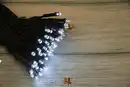 Bild 1 von LED-Lichterkette mit 50 kaltweißen LEDs
