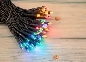 LED-Lichterkette mit 50 farbigen LEDs