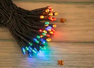 LED-Lichterkette mit 100 farbigen LEDs