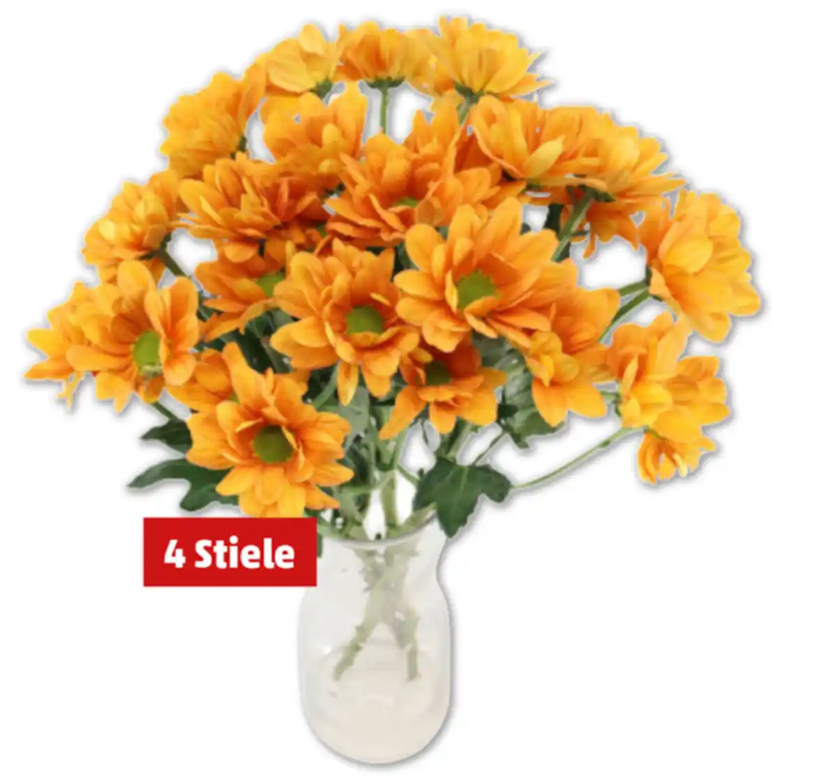 Bild 1 von Chrysanthemen