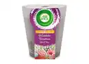 Bild 1 von Air Wick XL Duftkerze Winterlicher Beerentraum 220g