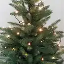Bild 1 von LED-Lichterkette 5,4m 50 LED Warmweiß mit Timer