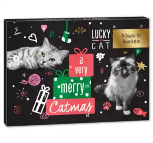 LUCKY CAT Adventskalender*