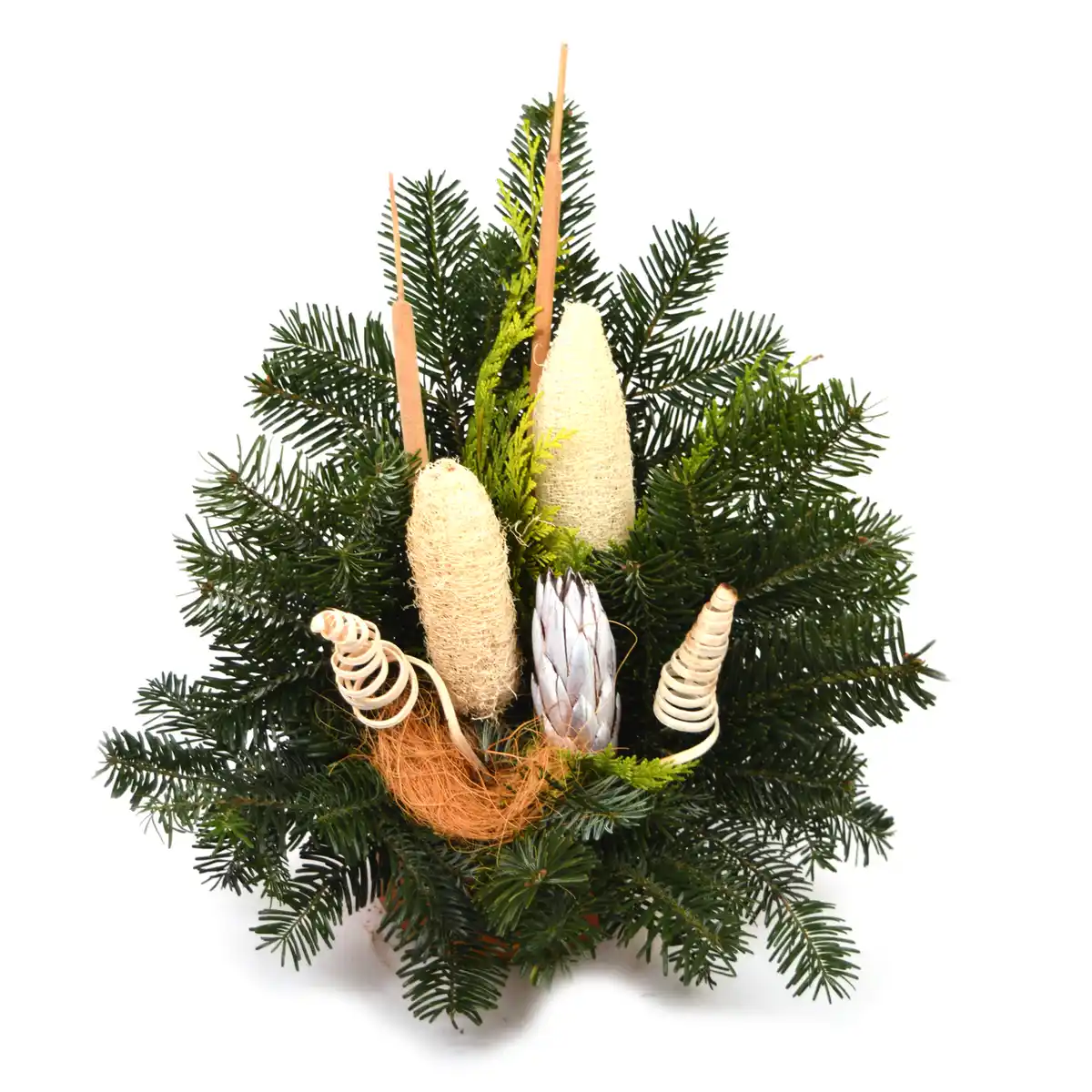 Bild 1 von toom Grabschale weiß Nobilis-Tanne 40 x 30 cm