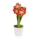 Bild 2 von GARDENLINE Amaryllis im Keramiktopf