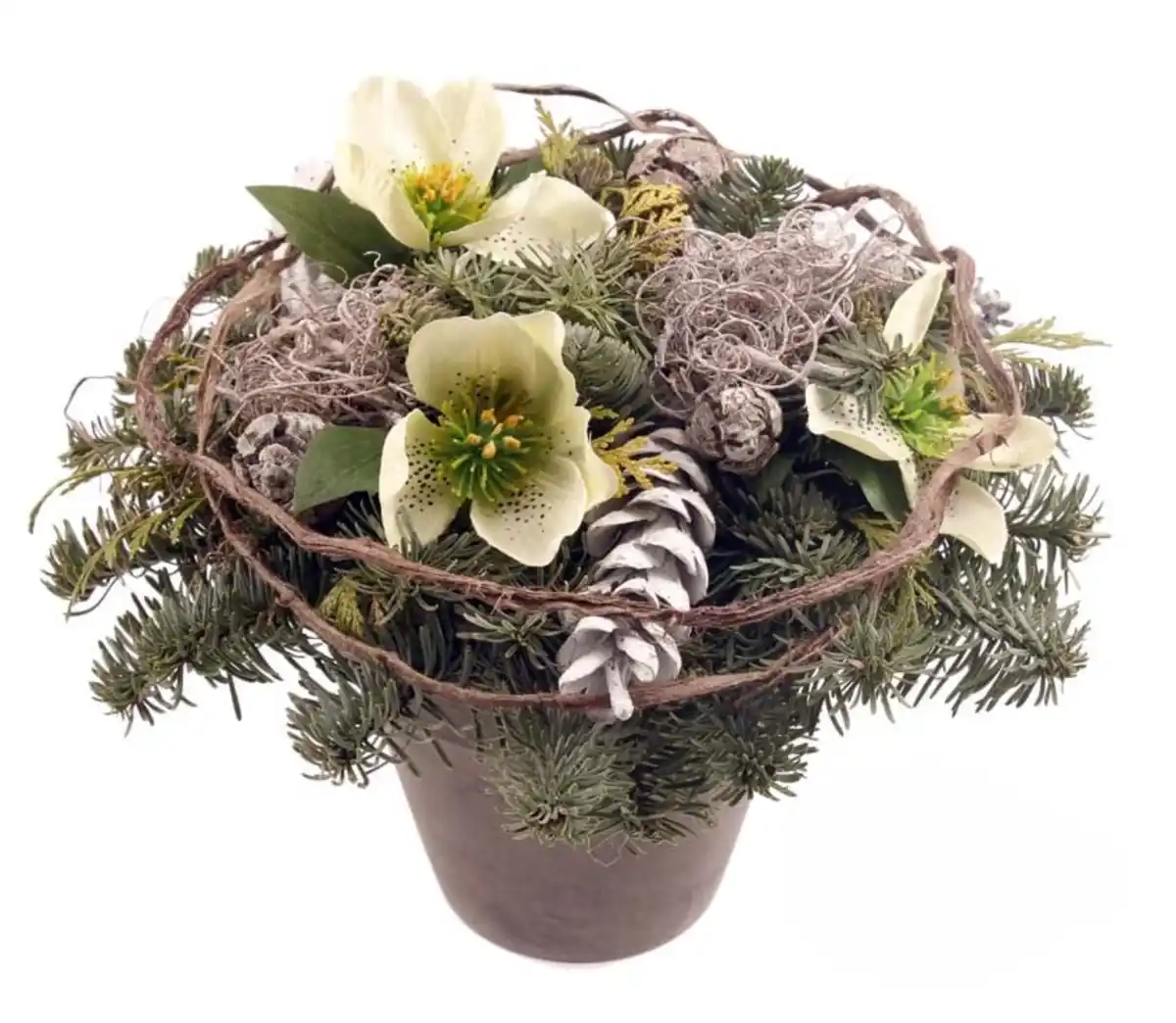 Bild 1 von Grabgesteck rund mit Christrosen creme 25 cm Topf