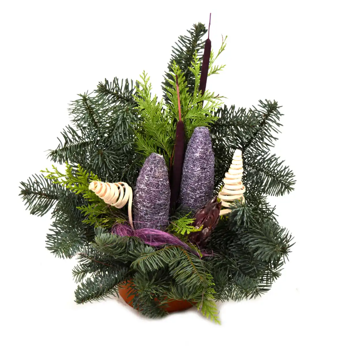 Bild 1 von toom Grabschale brombeere Nobilis-Tanne 40 x 30 cm