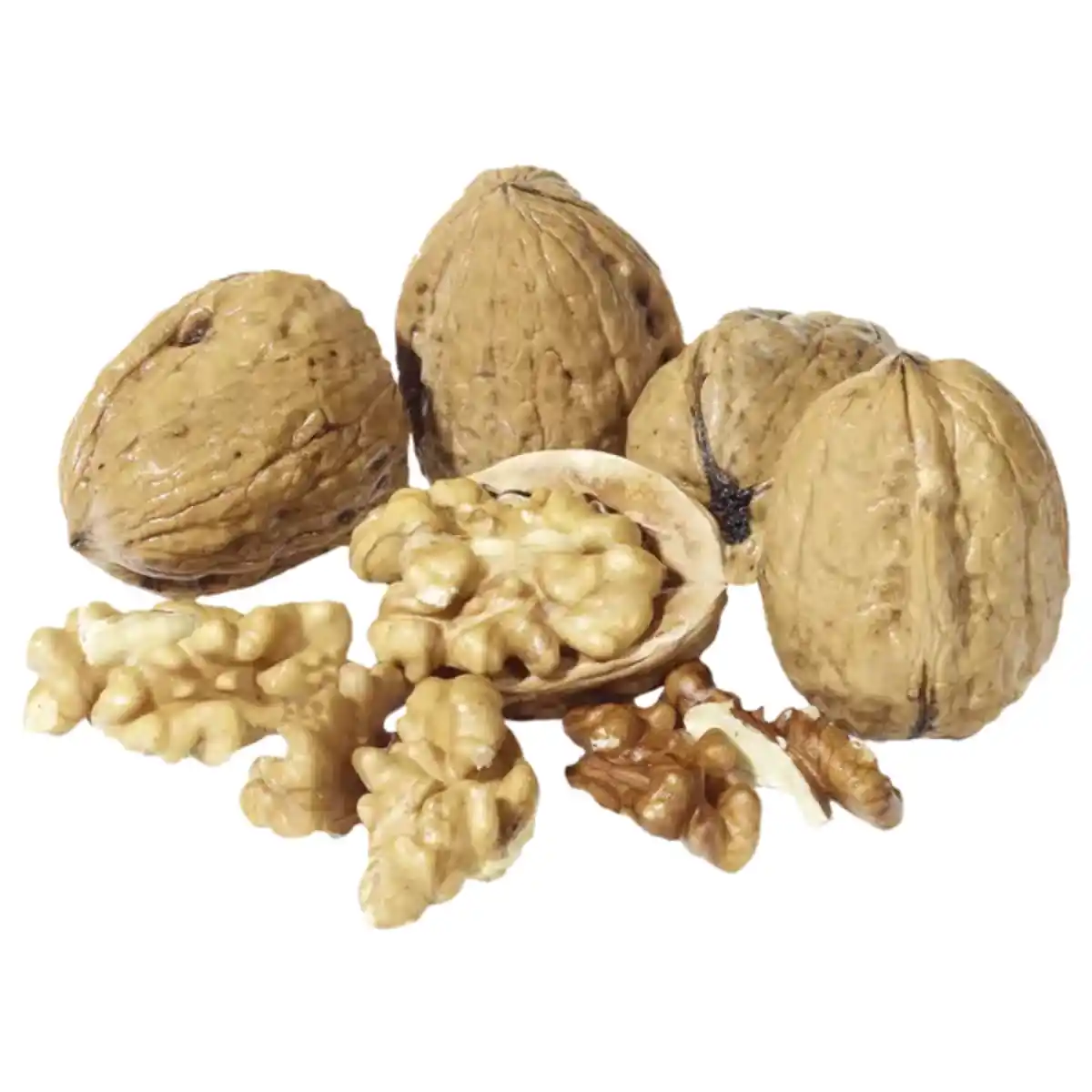 Bild 1 von Frankreich Walnüsse aus Grenoble