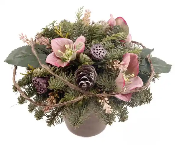 Bild 1 von Grabgesteck rund mit Christrosen altrosa 25 cm Topf