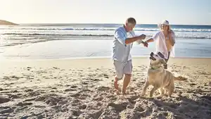 Nordseeurlaub mit Hund