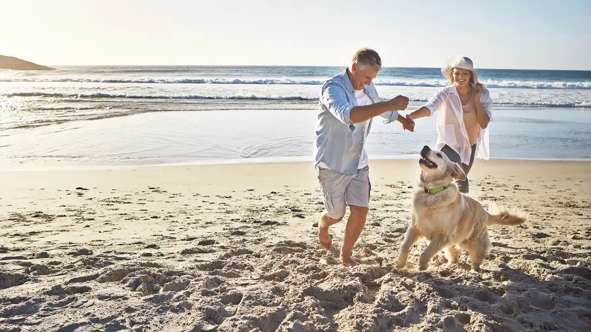 Bild 1 von Nordseeurlaub mit Hund