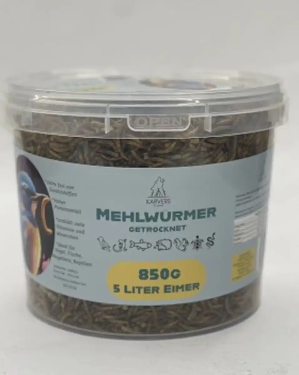 Bild 1 von Mehlwürmer getrocknet 850g 5l Eimer
