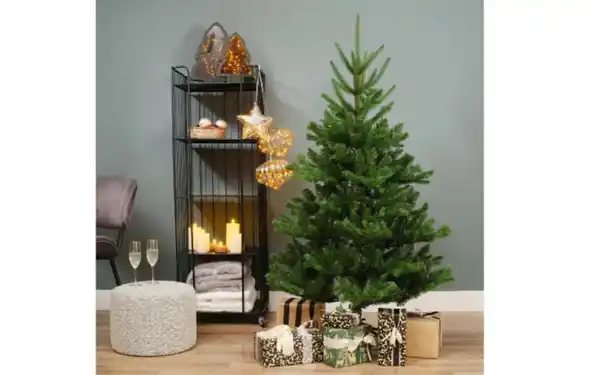 Bild 1 von Tannenbaum Alba, grün, 150 cm