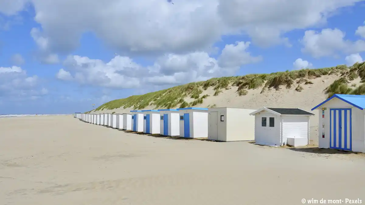 Bild 1 von Niederlande - Noordwijk  - NH Noordwijk Conference Centre Leeuwenhorst****