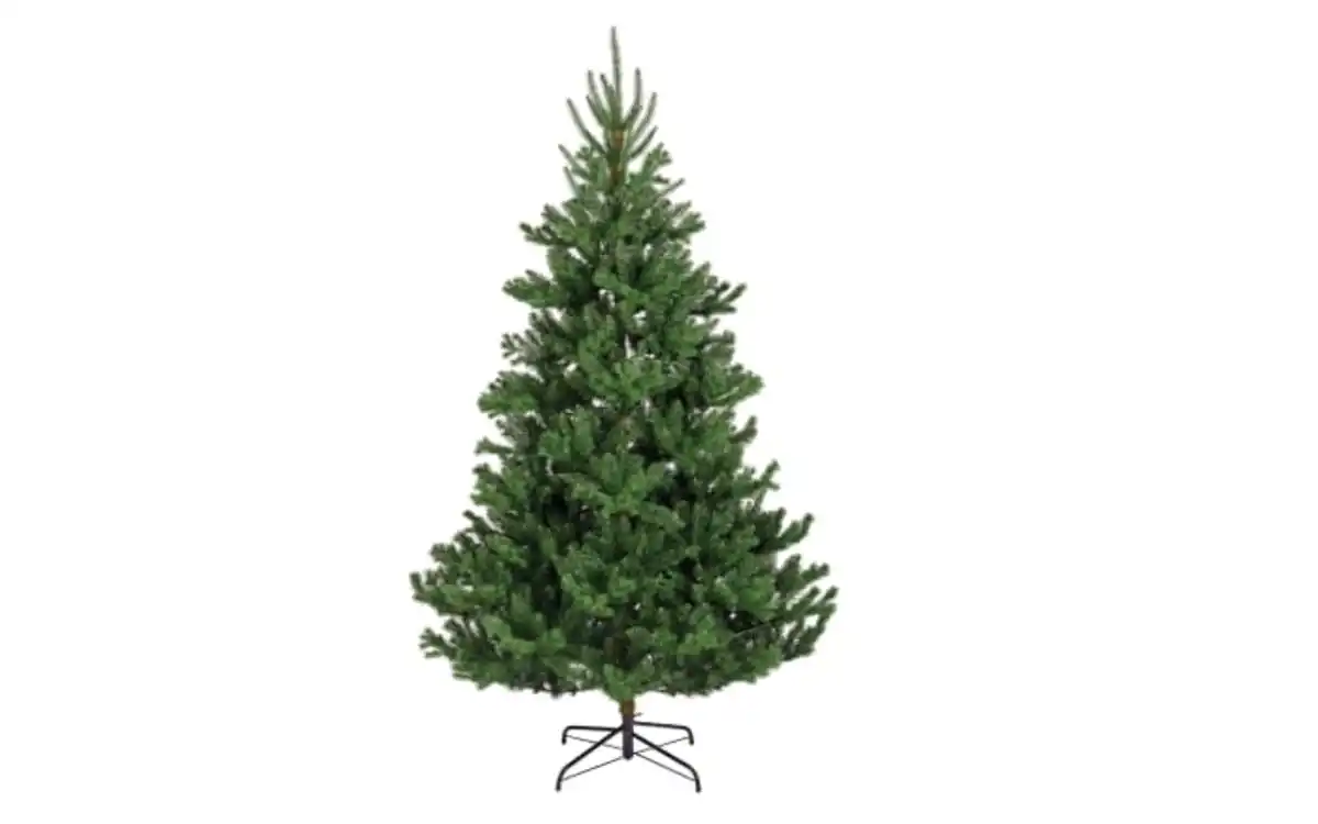 Bild 2 von Tannenbaum Alba, grün, 210 cm