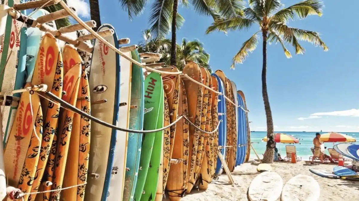 Bild 1 von Alaska & Hawaii - Gletscher & Vulkane - MS Noordam