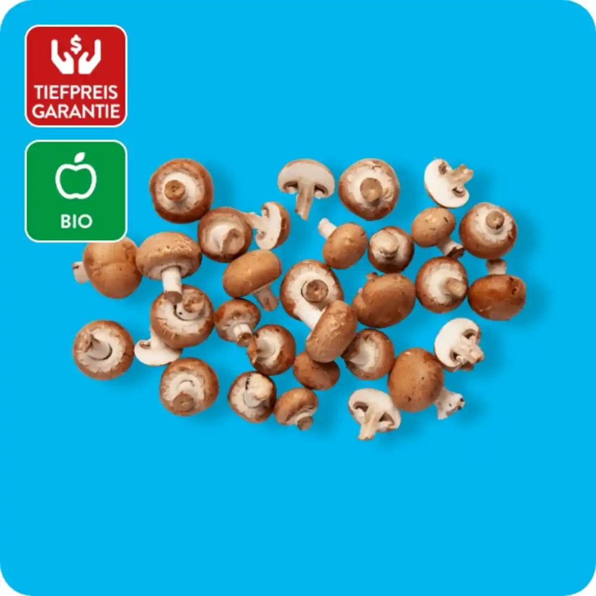 Bild 1 von   Bio-Champignons, braun, Ursprung: Deutschland / Niederlande / Polen