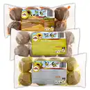 Bild 1 von Little-Friends Futterglocke / Meisenknödel