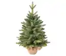 Bild 1 von LED-Weihnachtsbaum mit Übertopf »Aspen«, 60 cm