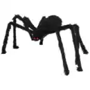 Bild 1 von Halloween-Spinne