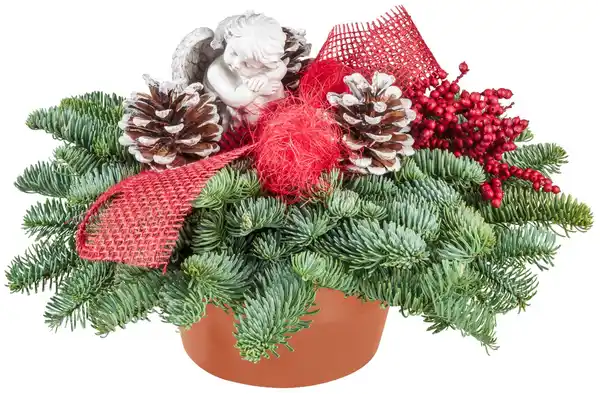 Bild 1 von Grabschale