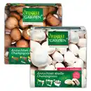 Bild 1 von Finest Garden Champignon-Anzuchtset