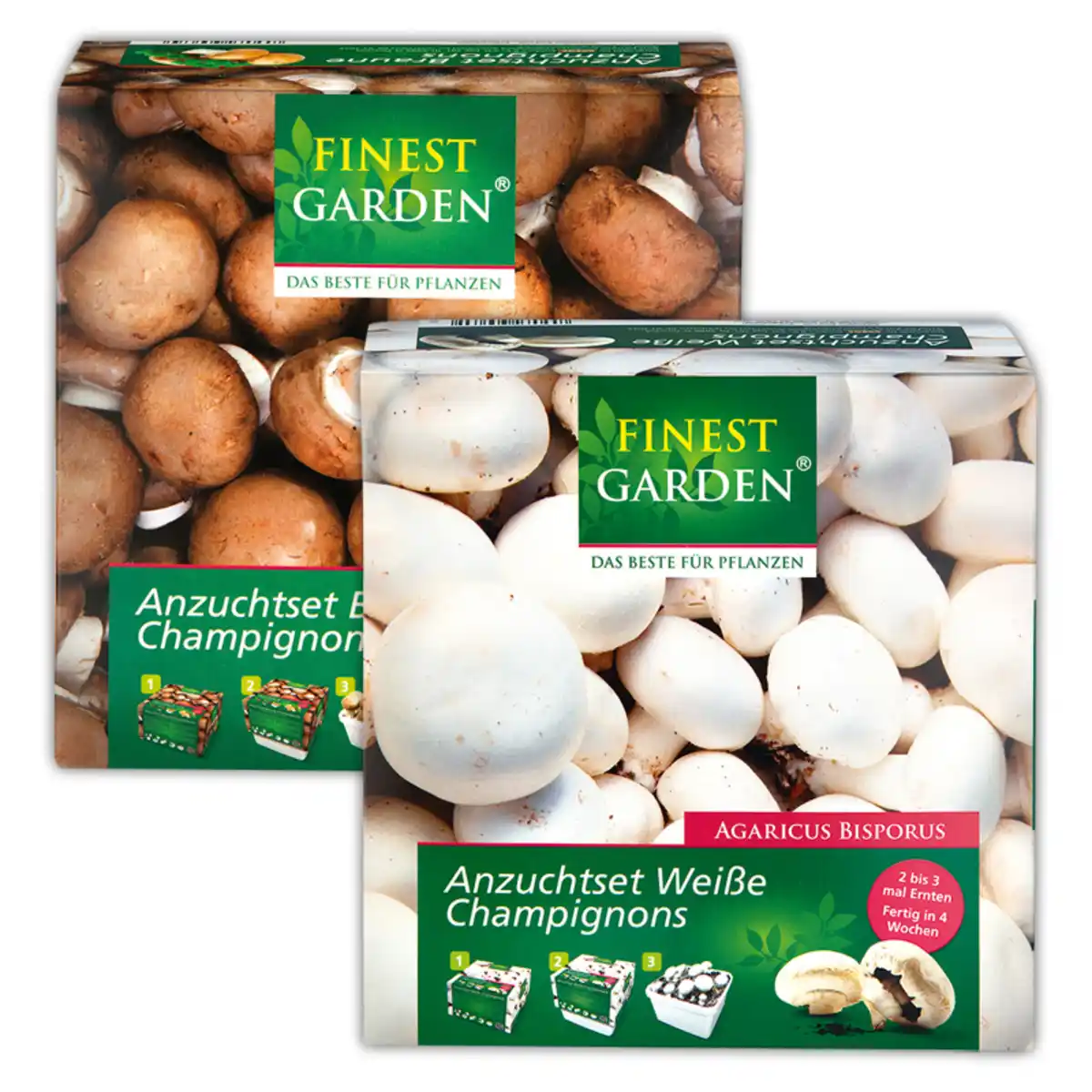 Bild 1 von Finest Garden Champignon-Anzuchtset