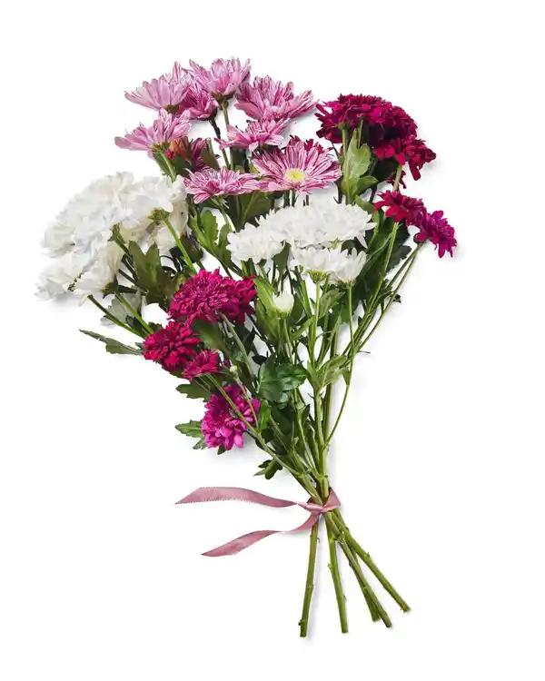 Bild 2 von Chrysanthemen Mix, Bund