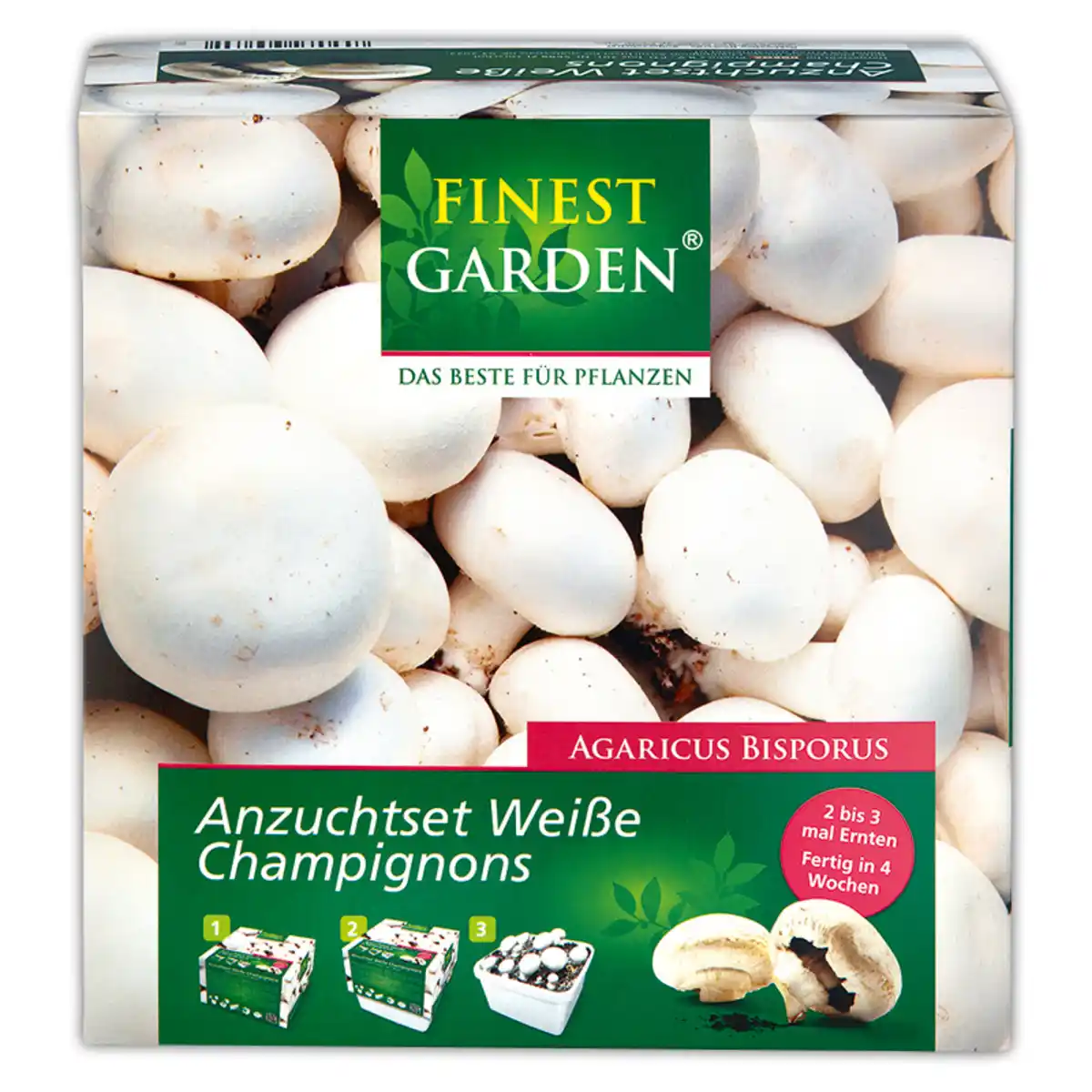 Bild 3 von Finest Garden Champignon-Anzuchtset