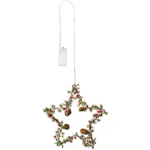 LED-Tannenstern zum Hängen