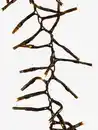 Bild 3 von Lichterkette Outdoor KORNSTEN m/1000 LEDs und Timer