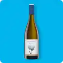 Bild 1 von   2024 Sauvignon Blanc QbA by Gesine Roll, Rheinhessen