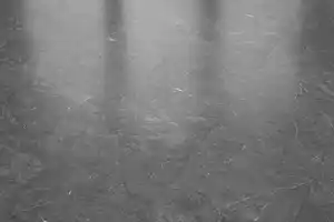 Classen Vinylboden GreenVinyl Infinity dark 63,8 x 31 cm 4 mm