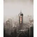 Bild 2 von SCHÖNER WOHNEN FARBE Dispersionsfarbe »Trendfarbe«, Manhattan, matt