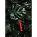 Bild 4 von SCHÖNER WOHNEN FARBE Dispersionsfarbe »Trendfarben«, Jungle, matt