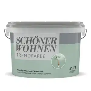 SCHÖNER WOHNEN FARBE Dispersionsfarbe »Trendfarbe«, Spa, matt