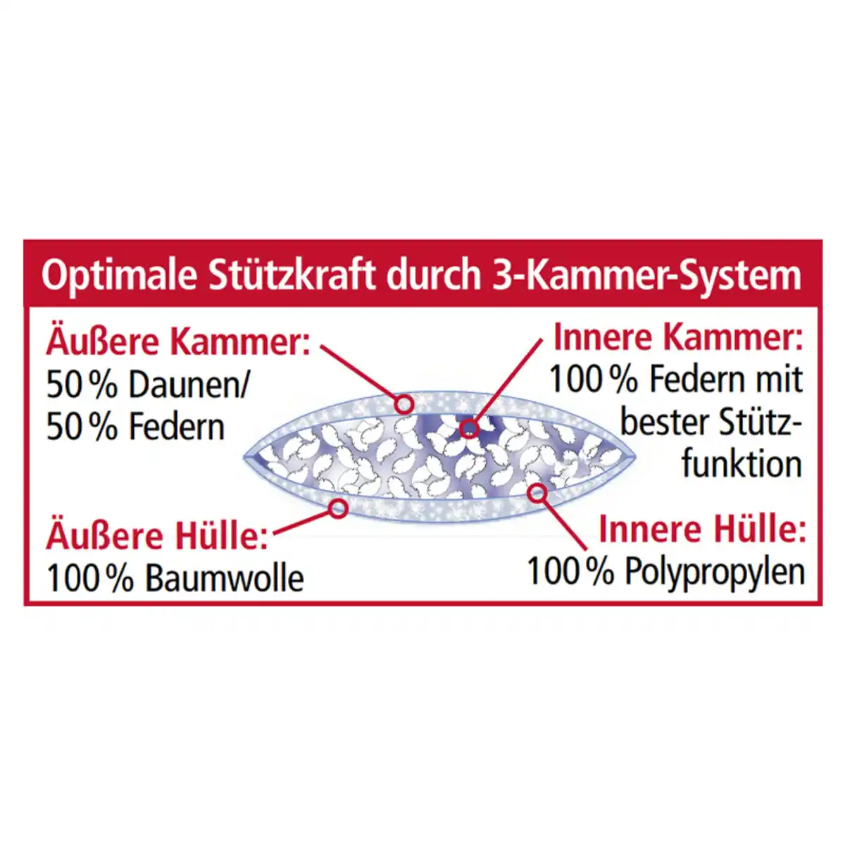 Bild 2 von Ortho-Vital Luxus 3-Kammer-Kopfkissen