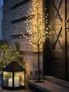 Bild 2 von Lichterbaum Outdoor NUNDORIT H160cm m/208 LED und Timer