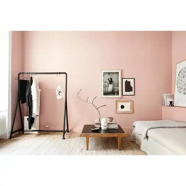 Bild 3 von SCHÖNER WOHNEN FARBE Dispersionsfarbe »Trendfarbe«, Hortensie, matt