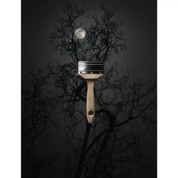 Bild 3 von SCHÖNER WOHNEN FARBE Dispersionsfarbe »Trendfarbe«, Luna, matt