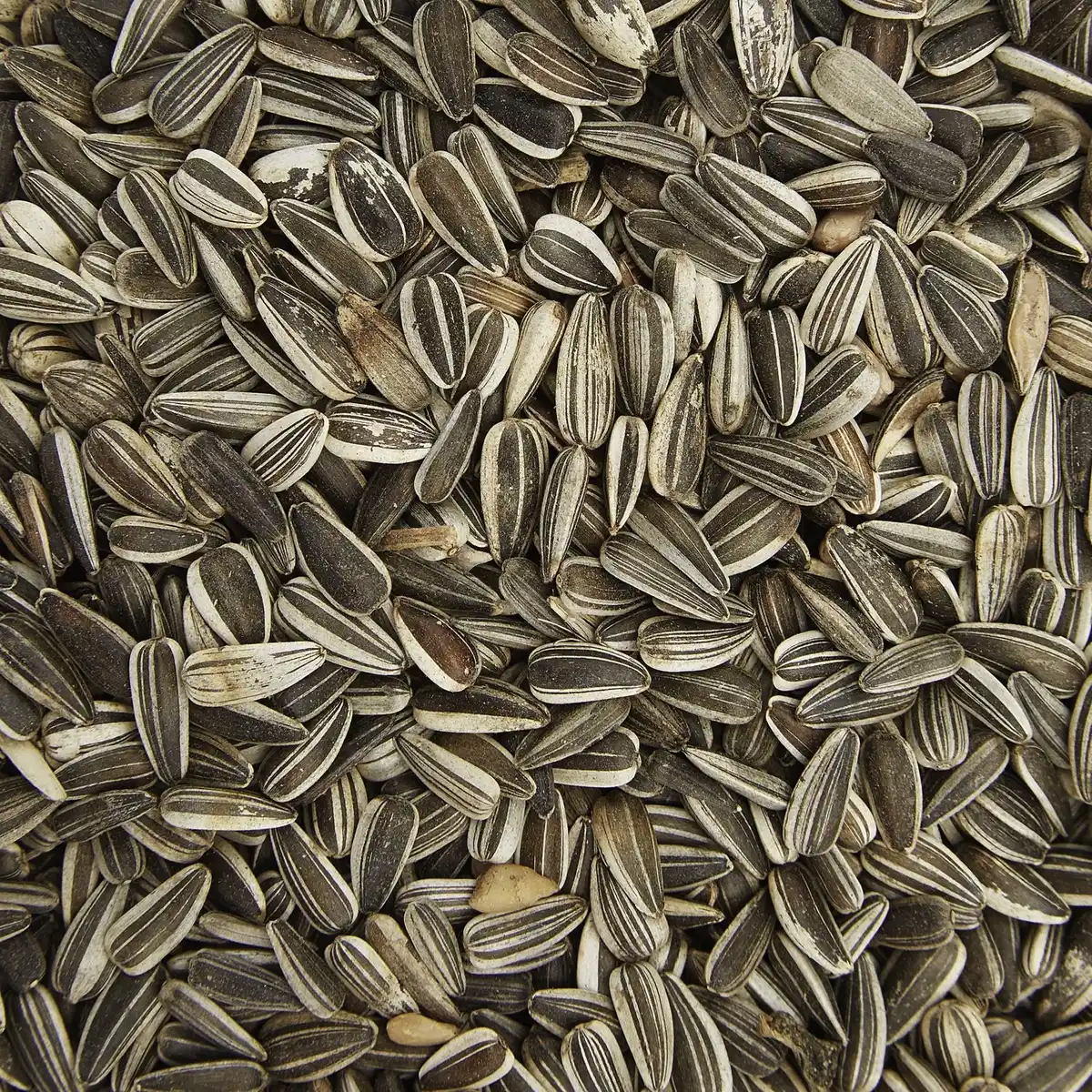 Bild 3 von Gartenkrone Alleinfuttermittel, 1 Beutel à 5000 g