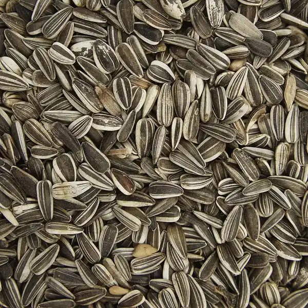 Bild 3 von Gartenkrone Alleinfuttermittel, 1 Beutel à 5000 g