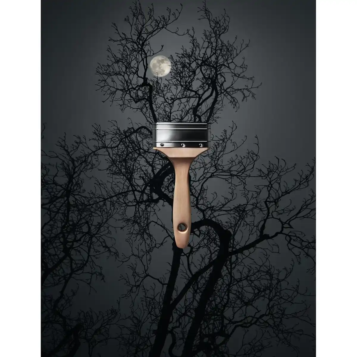 Bild 2 von SCHÖNER WOHNEN FARBE Dispersionsfarbe »Trendfarbe«, Luna, matt